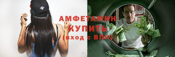 амф Верея