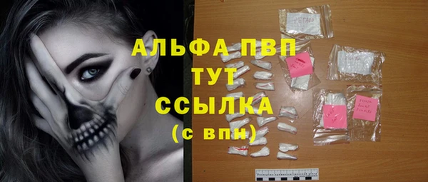 амф Верея