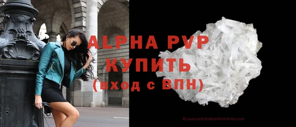 амф Верея
