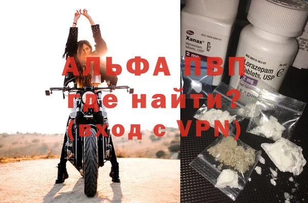 амф Верея