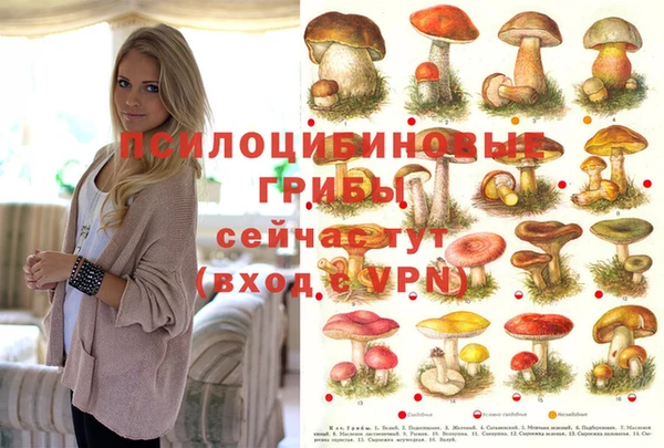 амф Верея