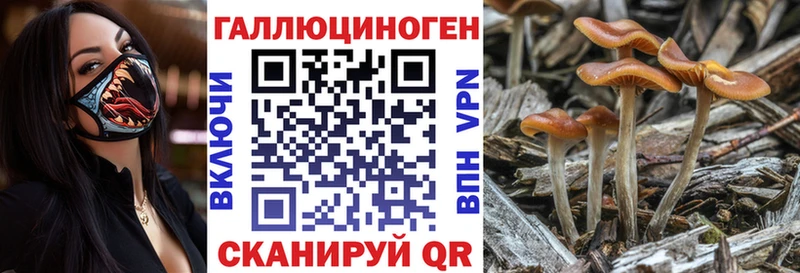 Купить где  Ленинск-Кузнецкий  Псилоцибиновые грибы прущие грибы 